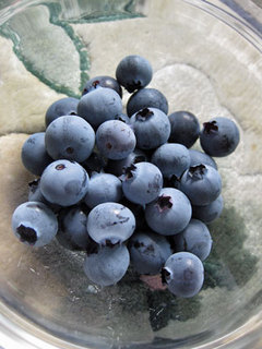 blueberry_shukaku_2012.jpg